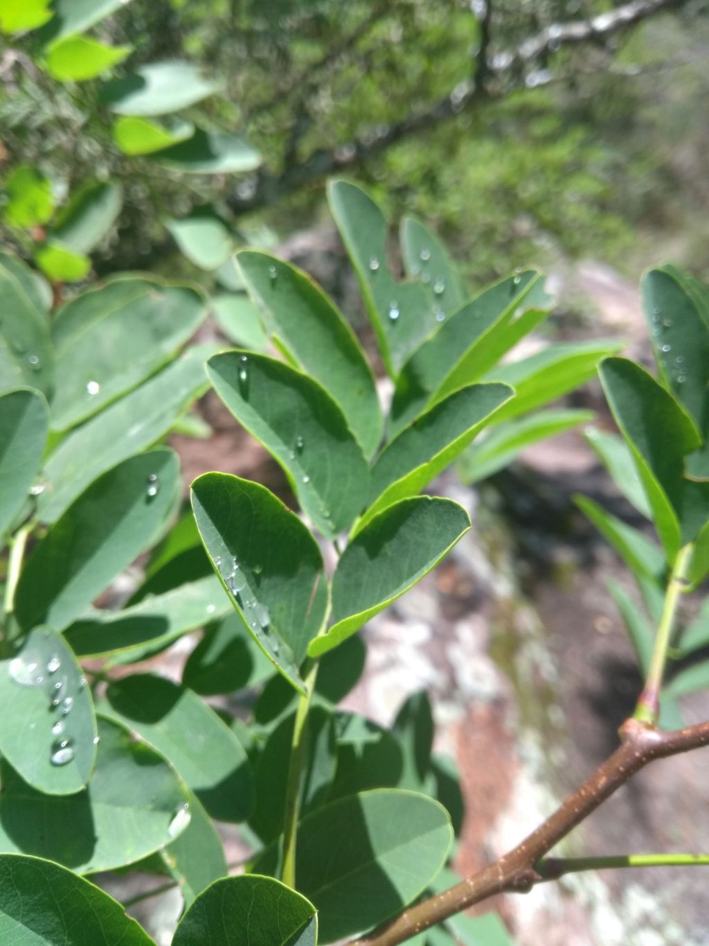 Recomendaciones si pensas irte de las&nbsp;redes